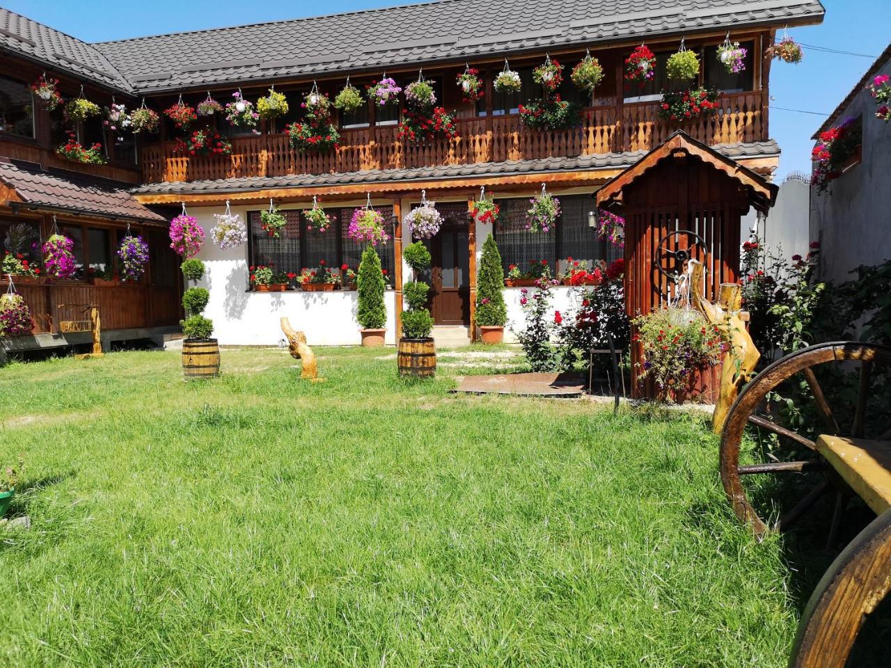 Agropensiunea Casa Nica Margineni  ภายนอก รูปภาพ