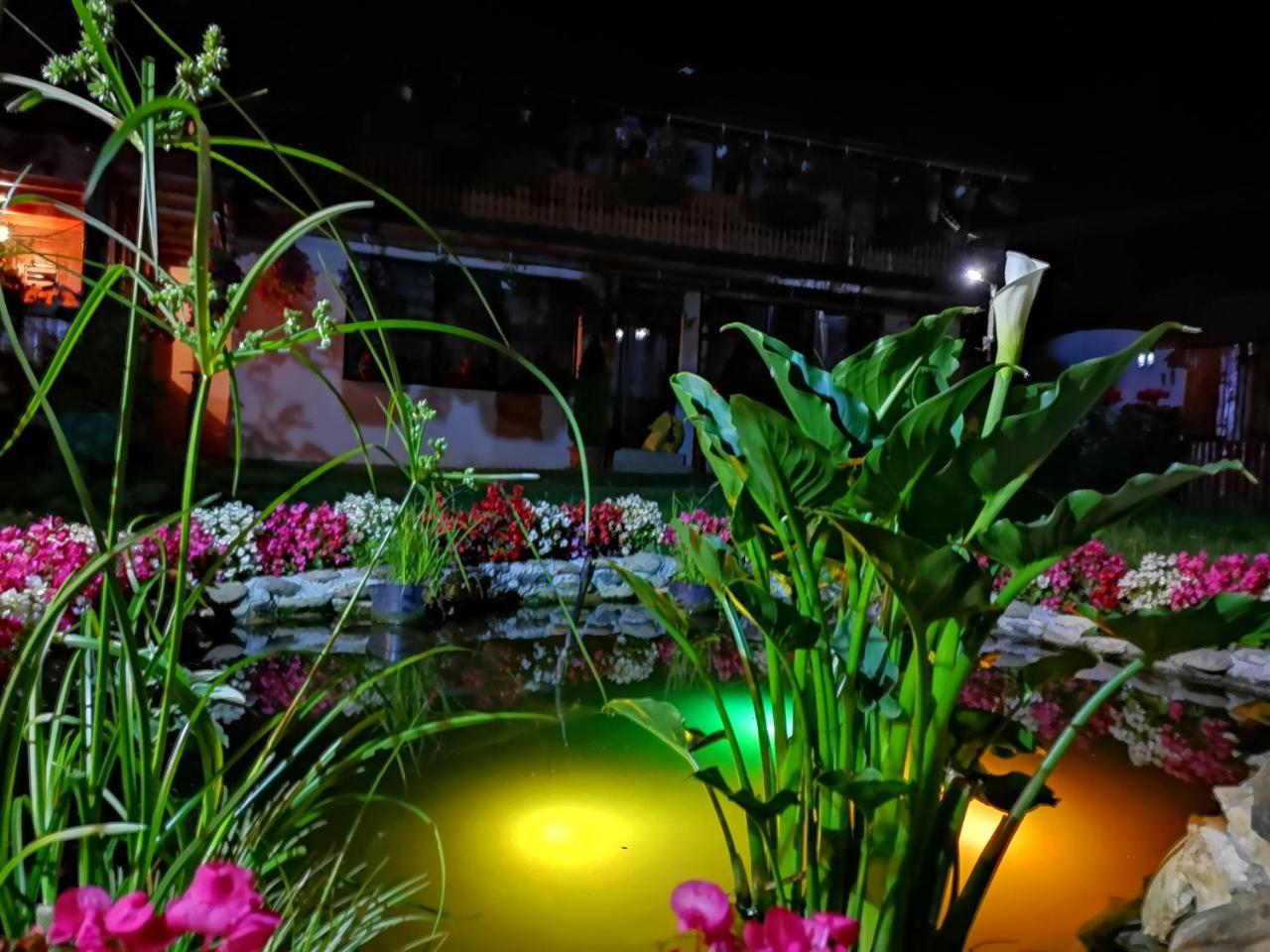 Agropensiunea Casa Nica Margineni  ภายนอก รูปภาพ
